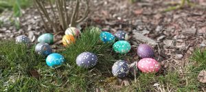 Read more about the article Pavasarį pasitikime su prasmingomis edukacijomis!